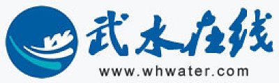 武汉市水务集团有限公司