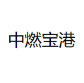 山东中燃宝港能源发展有限公司