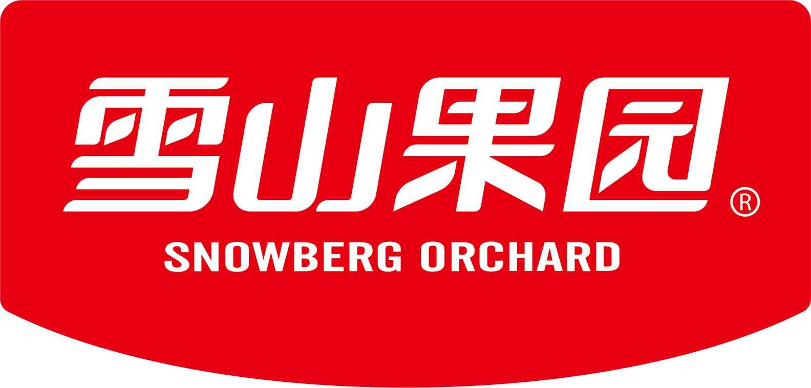 新疆雪山果园食品有限公司