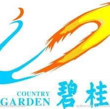 句容碧桂园房地产开发有限公司