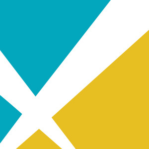 深圳市瑞云科技股份有限公司