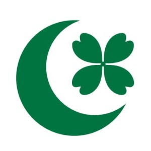 绿城房地产咨询集团有限公司