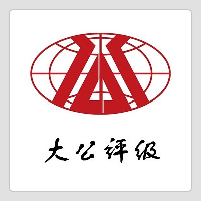 大公国际资信评估有限公司