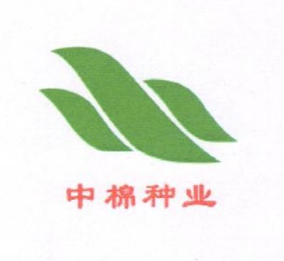 中棉种业科技股份有限公司