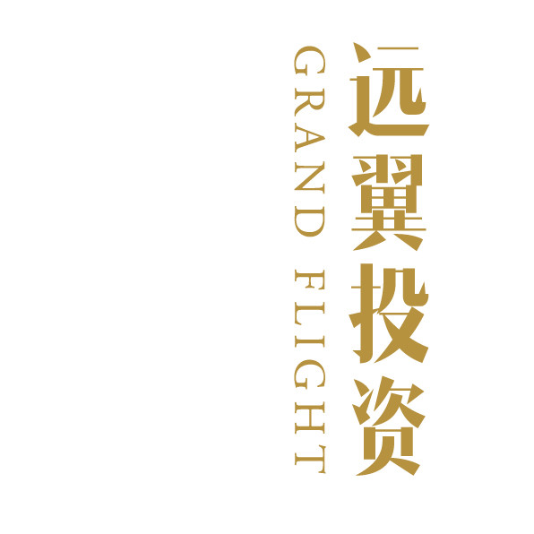 远翼投资管理有限公司