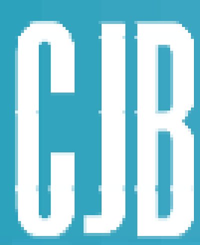 重庆长江轴承股份有限公司