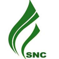 上海新炬网络信息技术股份有限公司