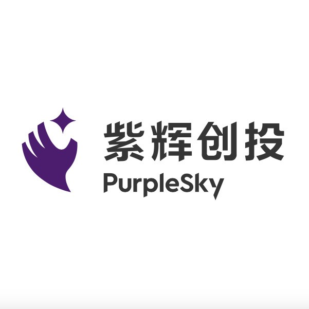 上海紫辉创业投资有限公司