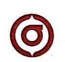 中国希格玛有限公司