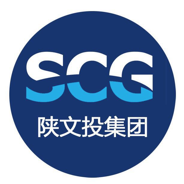 陕西文化金融投资控股（集团）有限公司