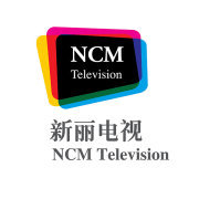 新丽电视文化投资有限公司