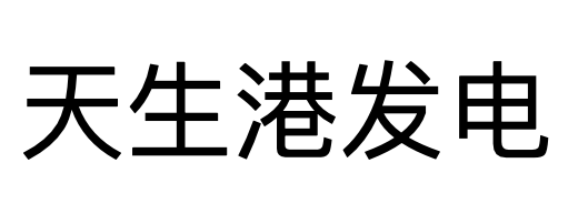 南通天生港发电有限公司