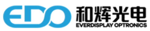 上海和辉光电股份有限公司